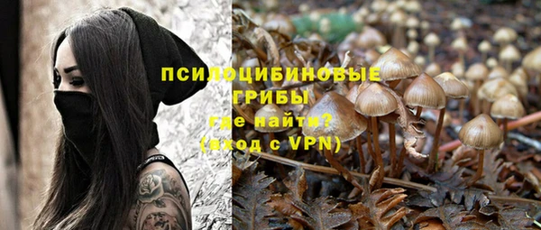 бошки Верхнеуральск