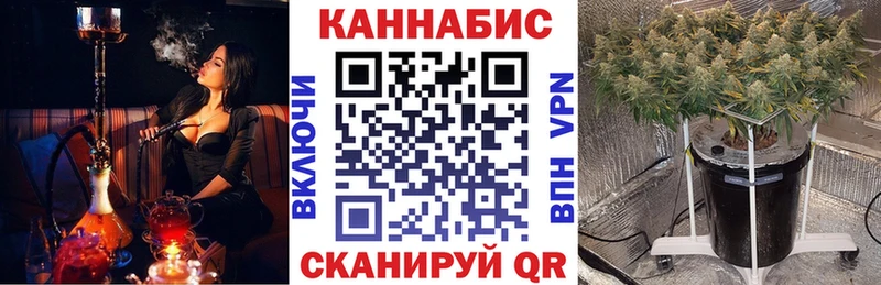 Бошки марихуана конопля  Ельня 
